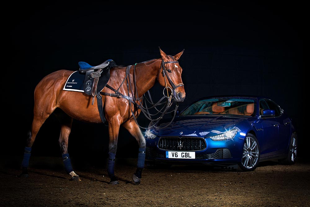 horse and car resize