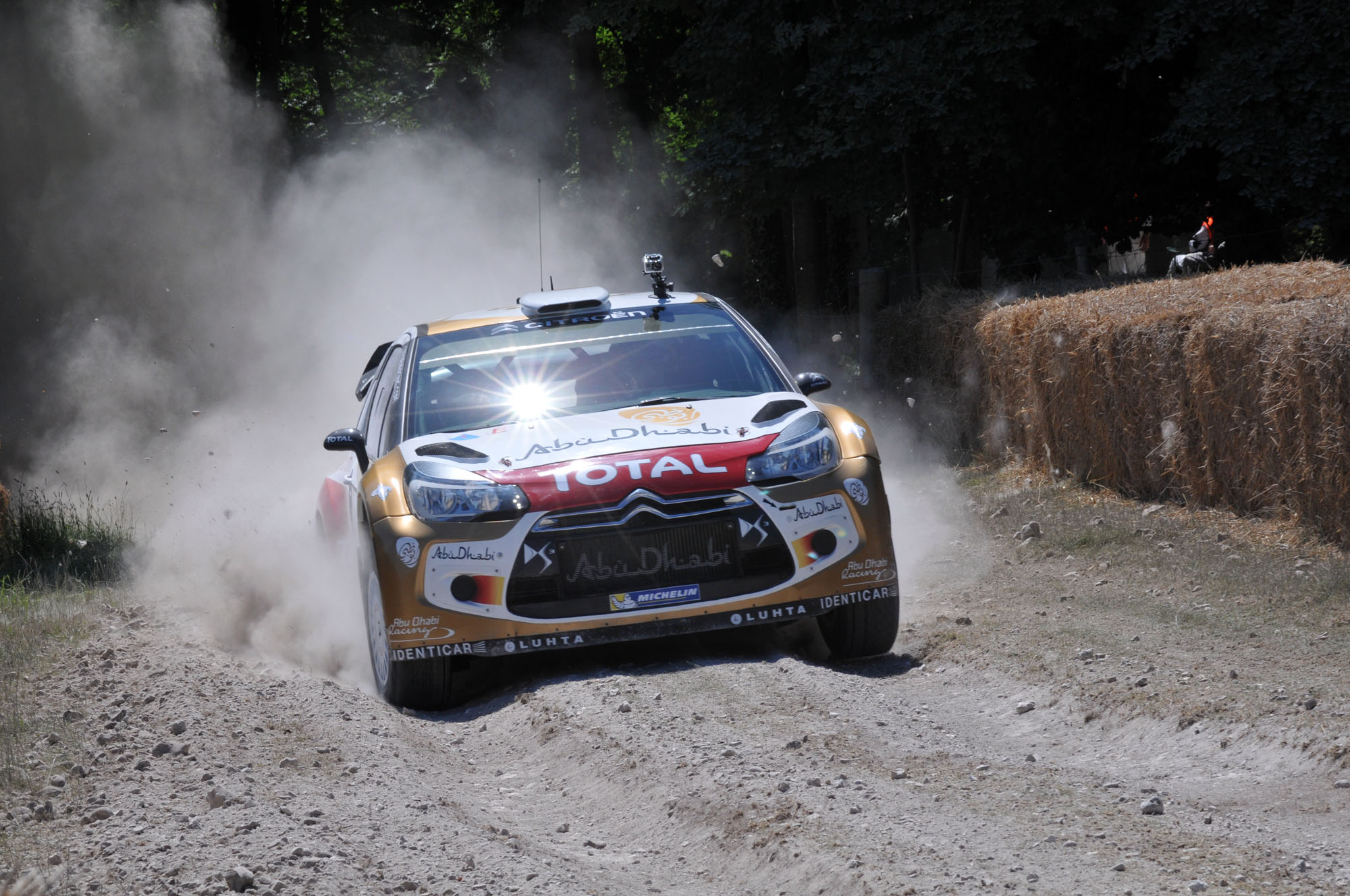 Sebastian Loeb DS3