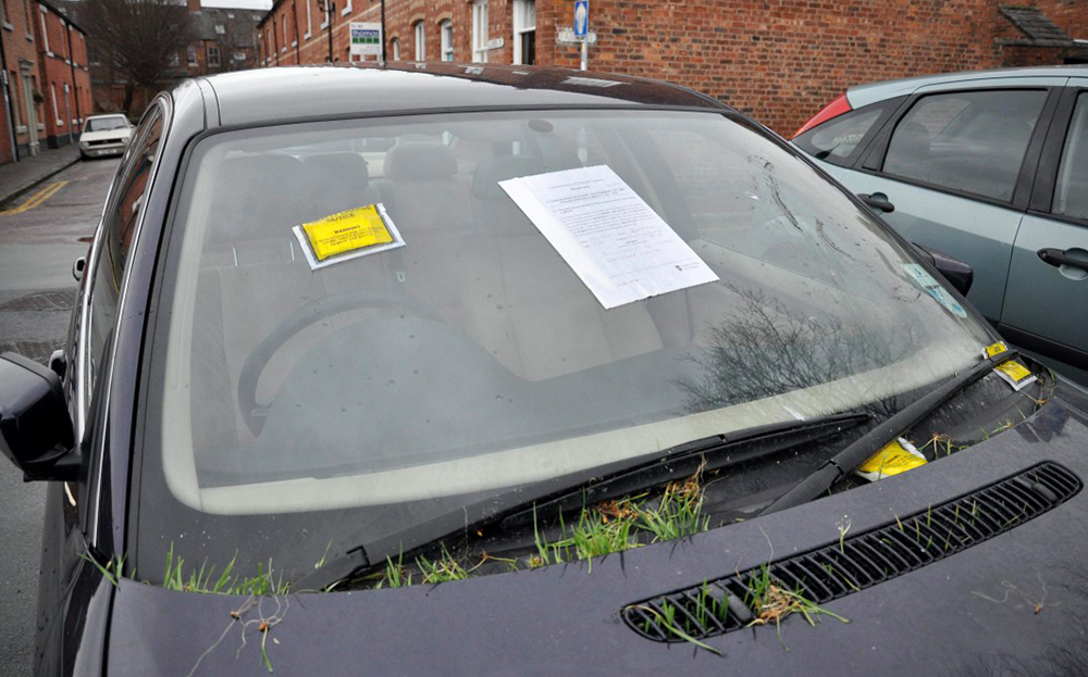 News: Abandoned BMW grows grass