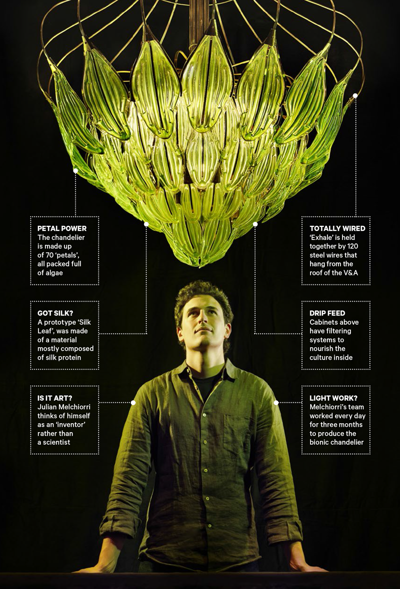 Julian Melchiorri's Exhale bionic chandelier