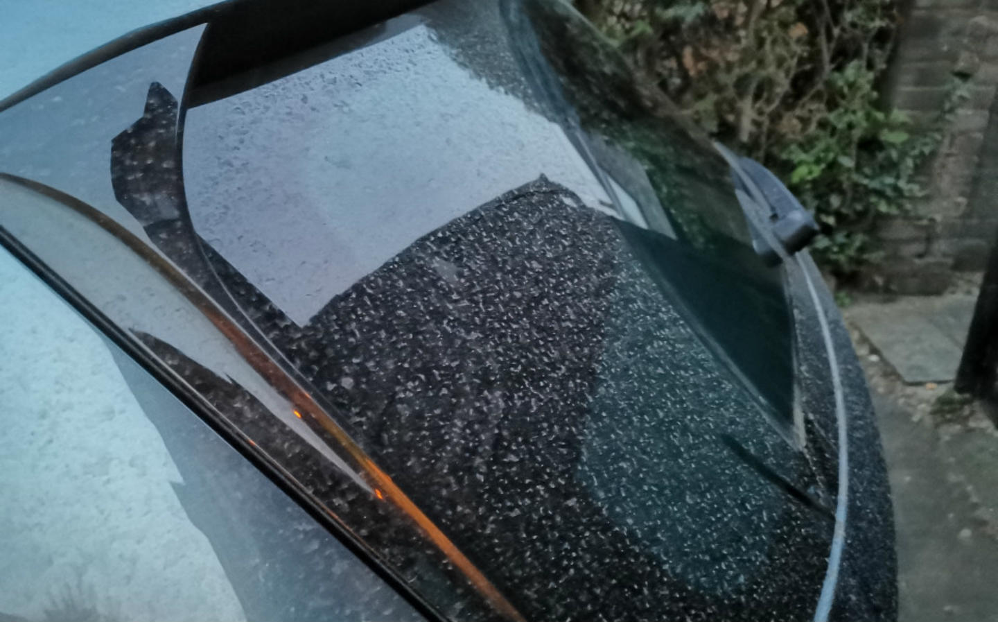 Why is my car covered in Saharan sand?