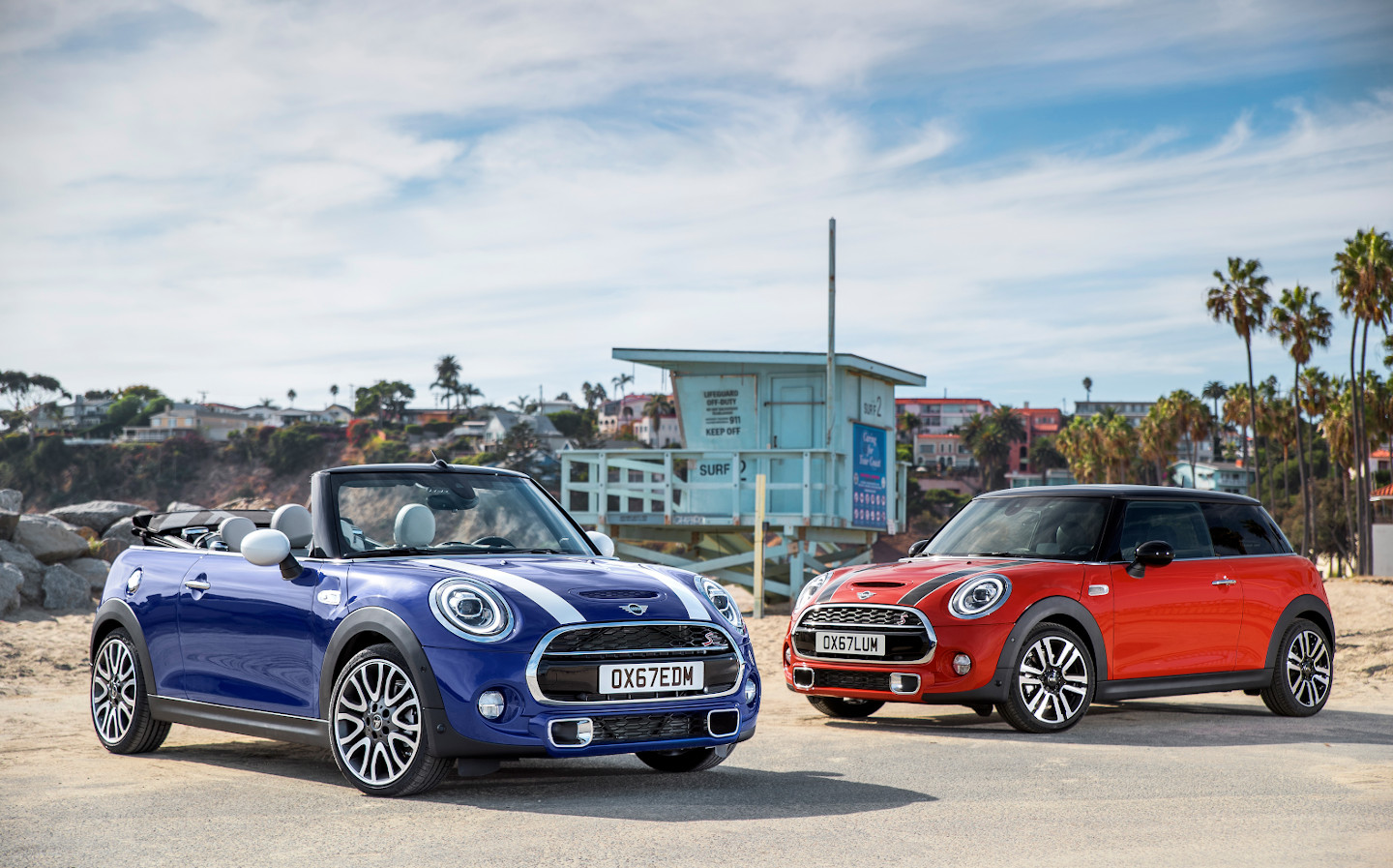 The Mini Hatch