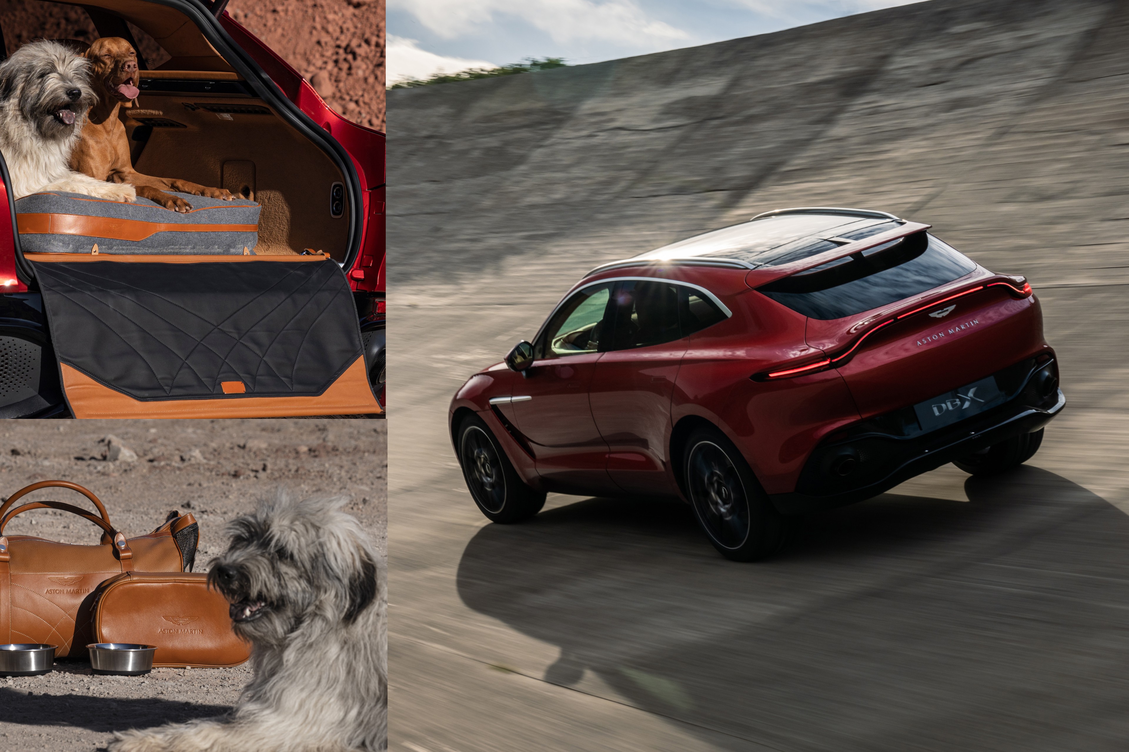 Aston Martin DBX pet pack