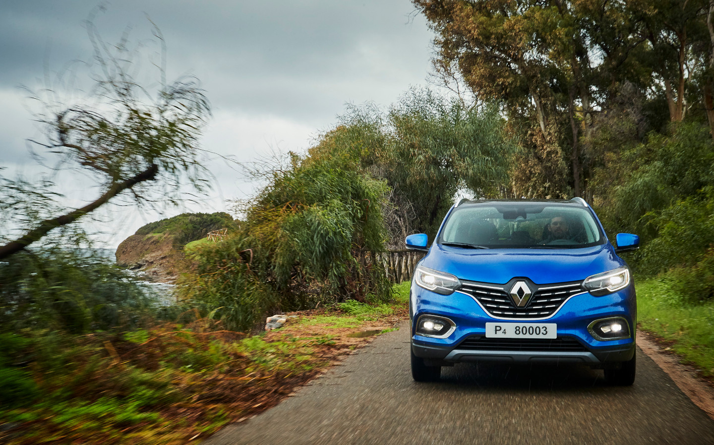 Renault to withdraw all diesel models except Megane