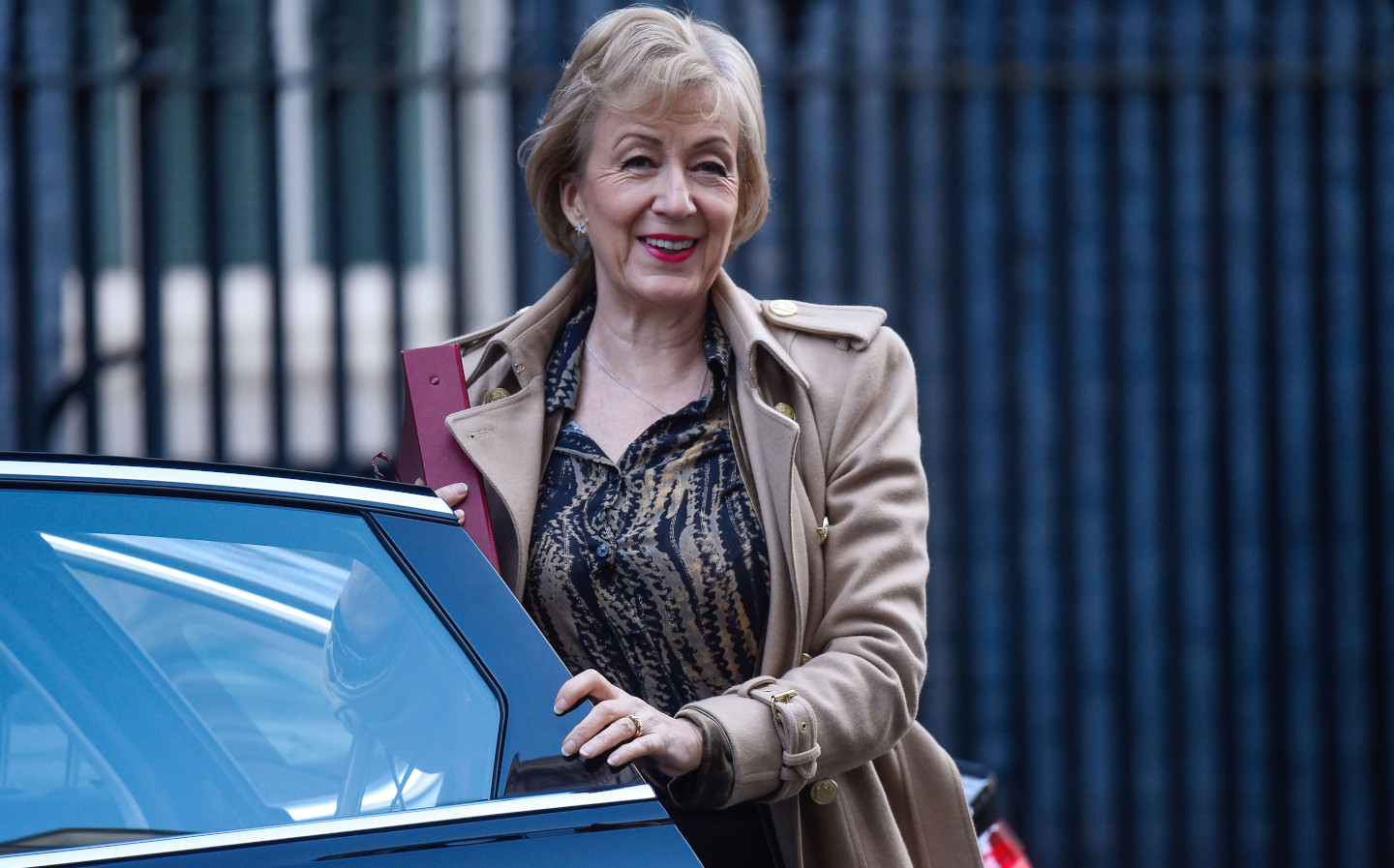 Andrea Leadsom