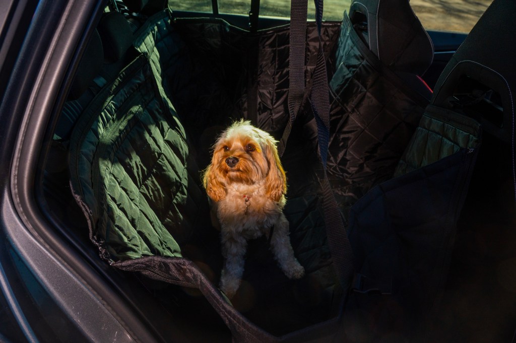 Skoda Kamiq dog hammock