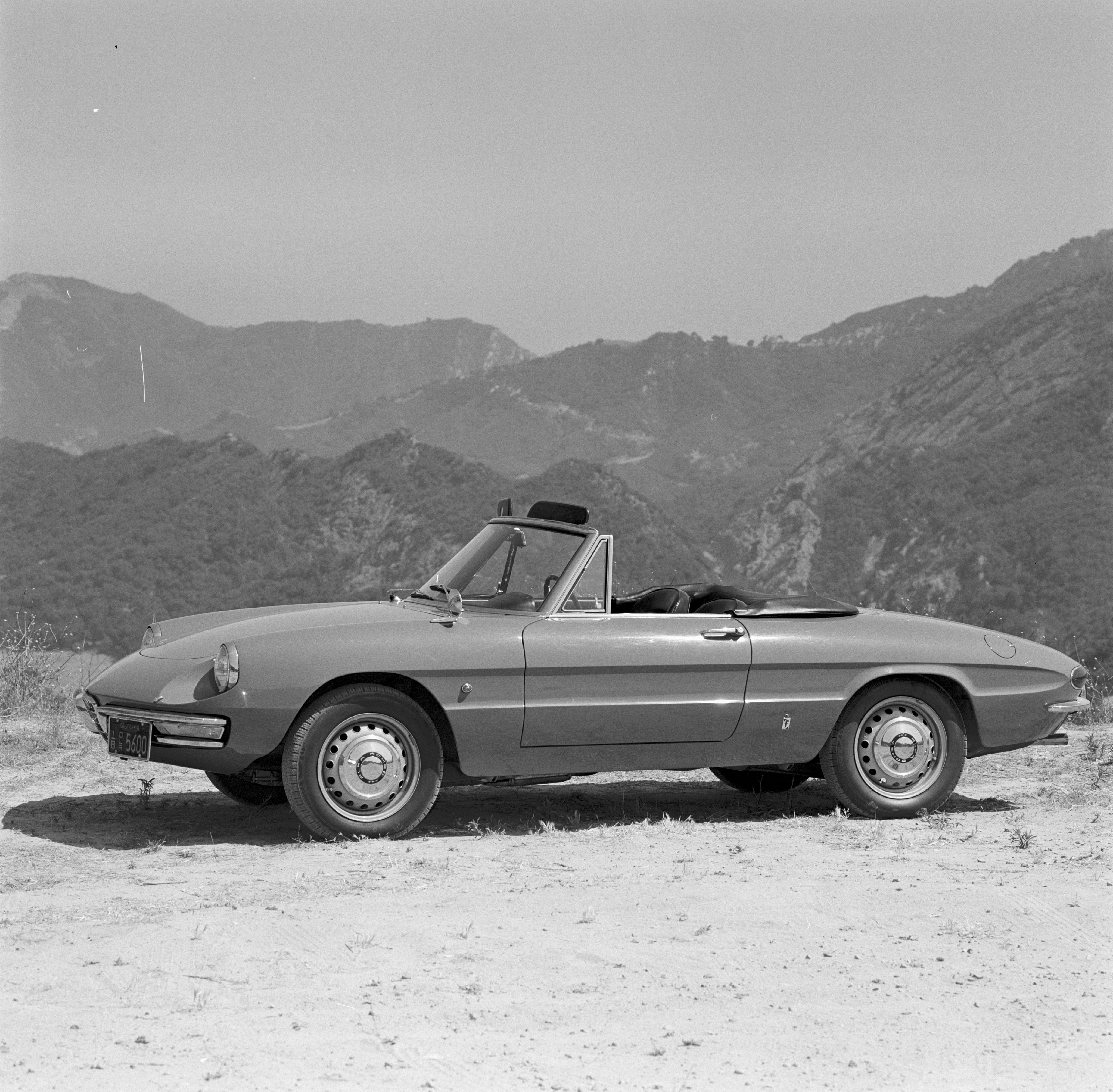 1966 Alfa Romeo Spider